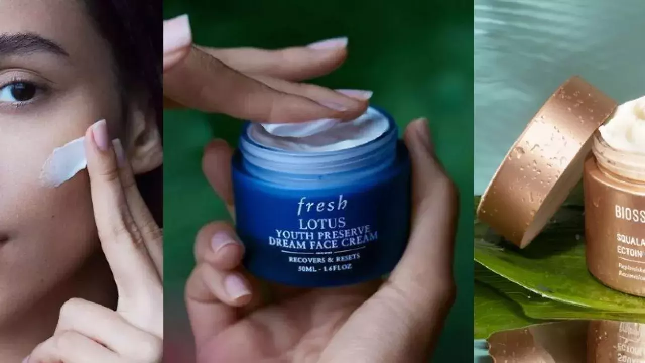 Night Creams to Buy in